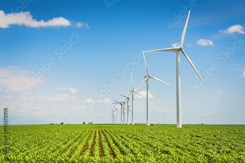 Wind farm and countryside corn field, agriculture industry