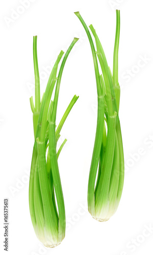 Celery