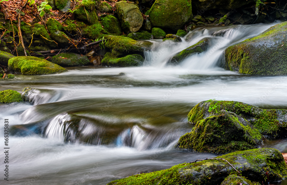 cascade on the little stream with stones in forest cascade on the little stream with stones in forest