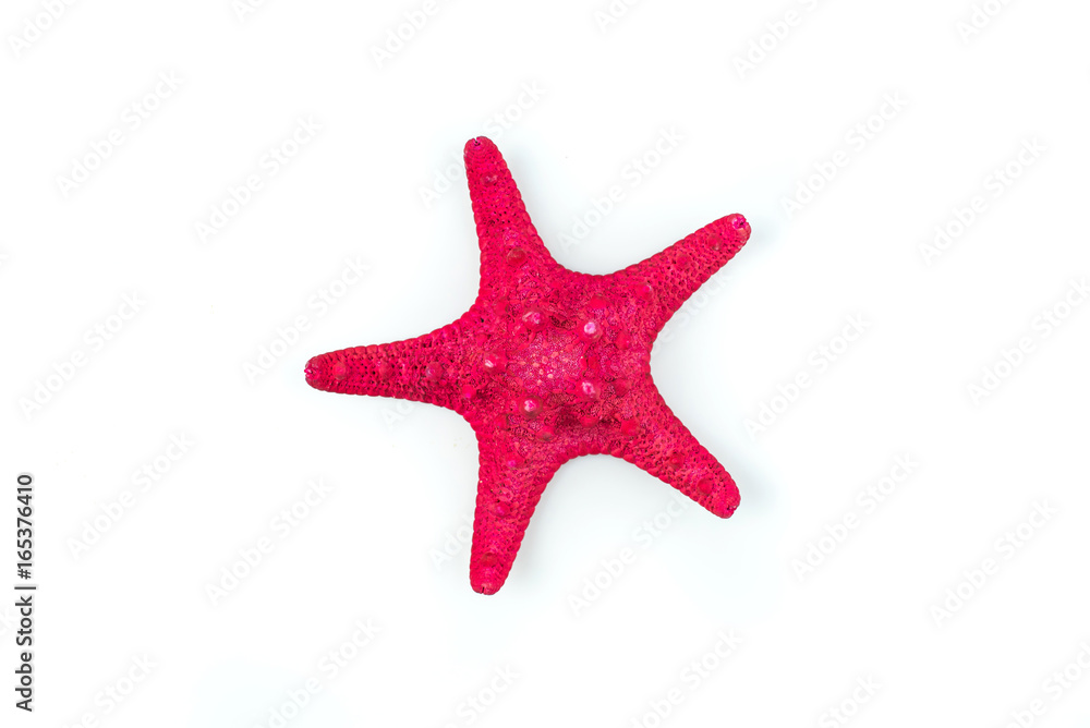 Red starfish isolated on white background,Clipping Path. Red starfish isolated on white background,Clipping Path.
