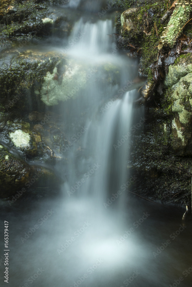 Fototapeta premium Tiny waterfalls at Carpenter's Falls in Granby, Connecticut.