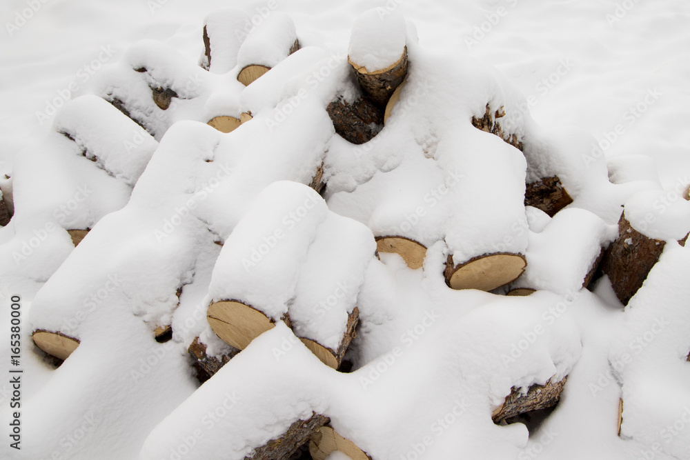 pile of pine logs for firewood