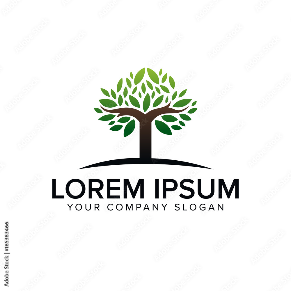 Obraz premium tree logo design concept template