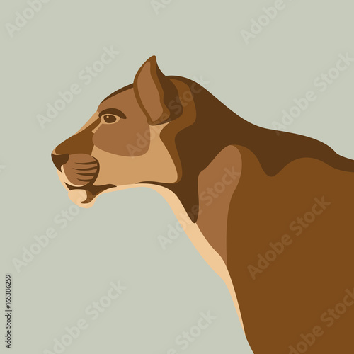puma vector illustration style flat 