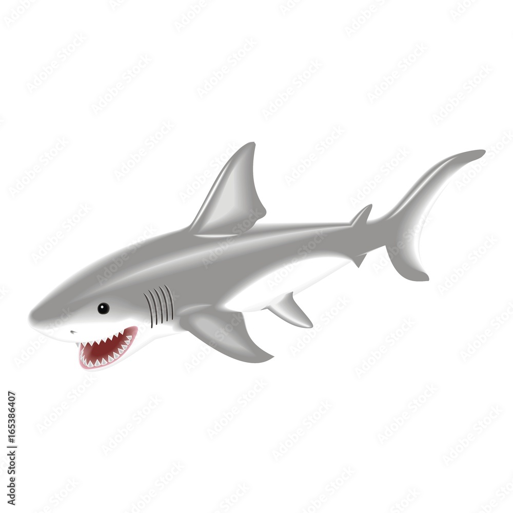 great white shark great white shark