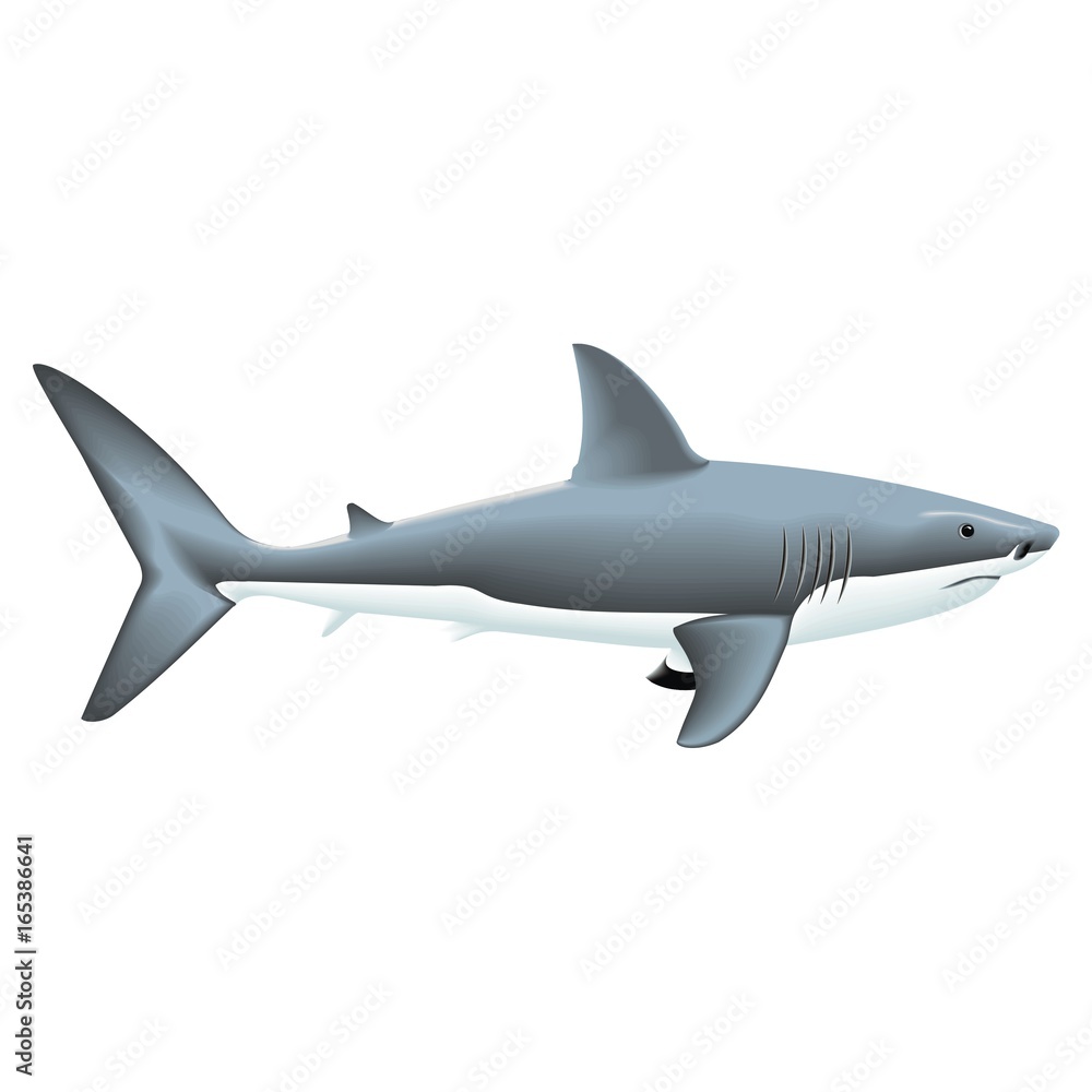 Naklejka premium shark