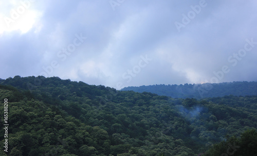 Wallpaper Mural Green slopes of the mountains in the fog. Torontodigital.ca