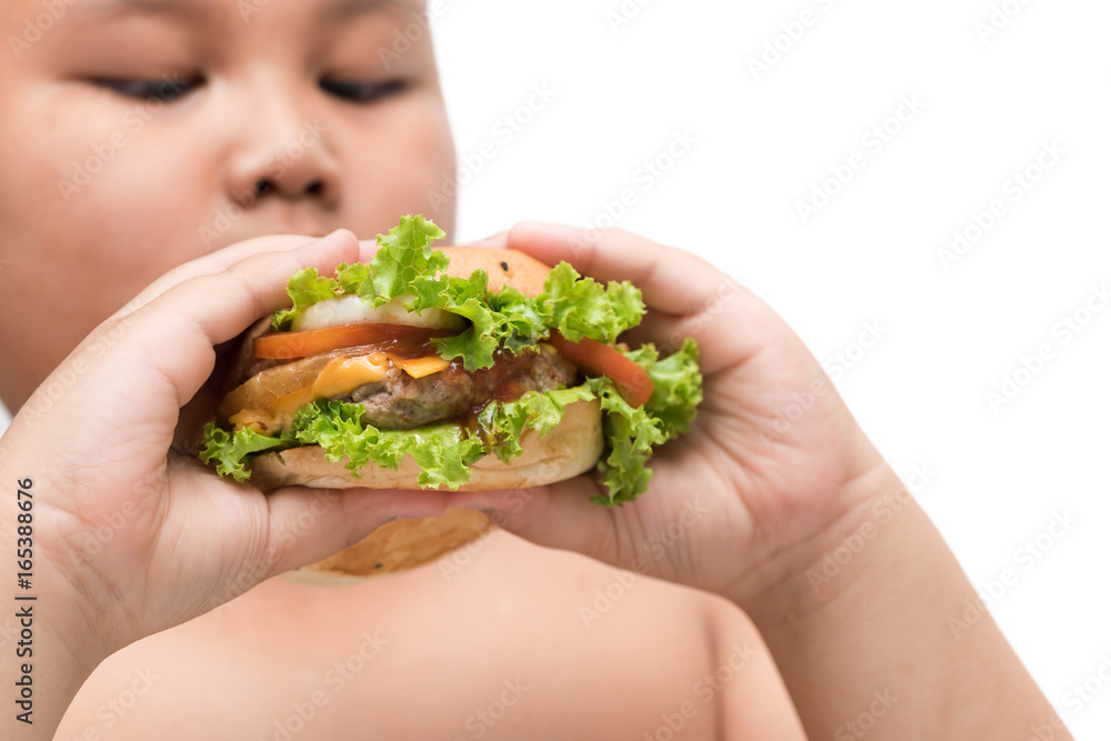 pork hamburger on obese fat boy hand background isolated