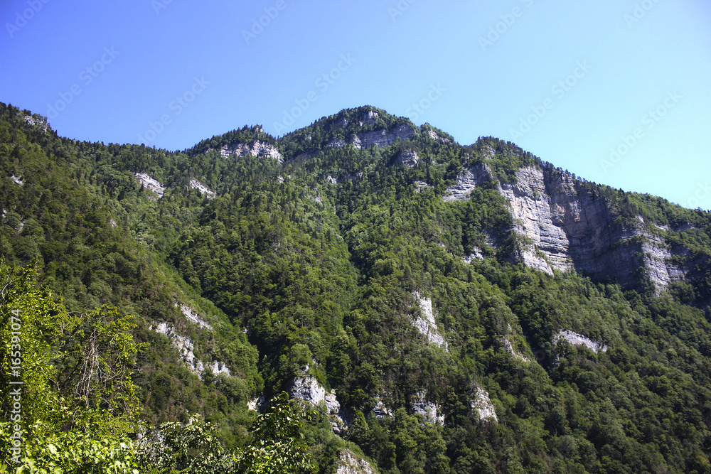 Mountain landscape. Green mountain with a rocky peak against the blue sky.