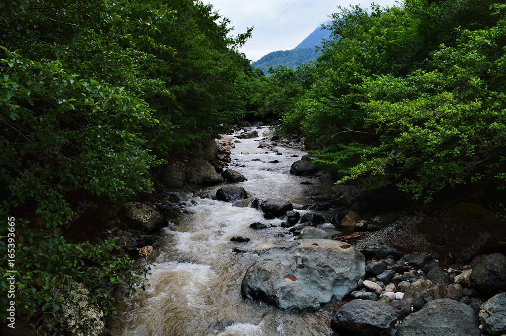 the flow of the mountain river in the Caucasus the flow of the mountain river in the Caucasus