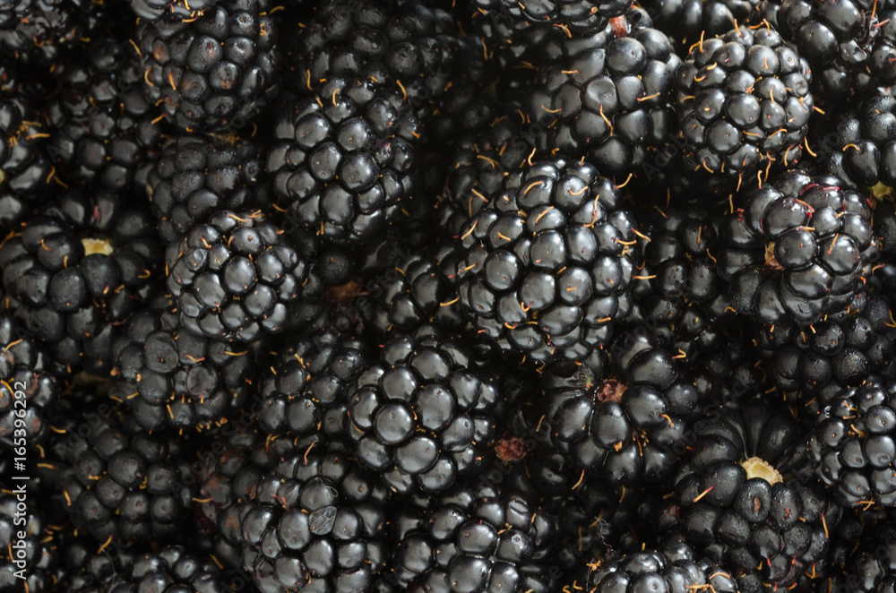 Blackberries Blackberries