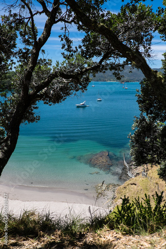 Looking through trees onto boats in summer  Bay of Islands, New Zealand, NZ at Urupukapuka Island photo