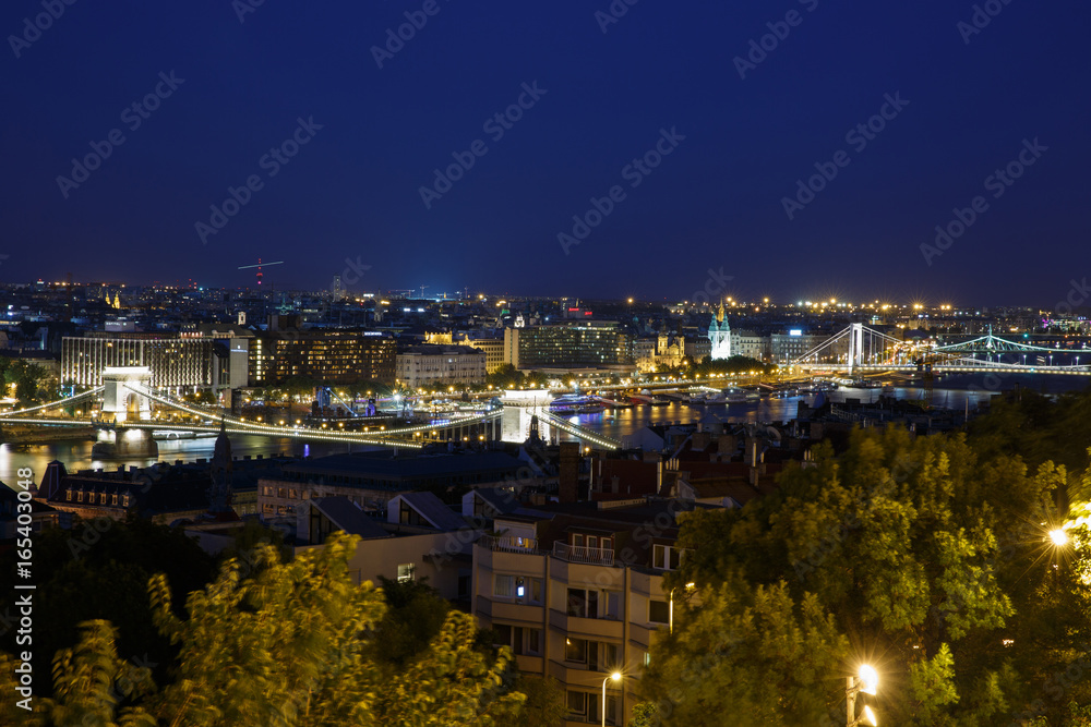 Obraz premium Panoramic night view of the city's bridges. Budapest. Hungary