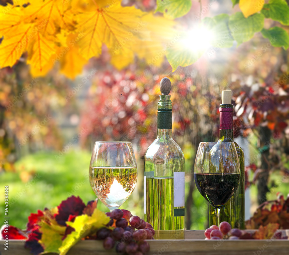 Genuss in der Pfalz: Weinprobe im Herbst, Rotwein, Weißwein, Weinglas und Trauben im Weinberg :)
