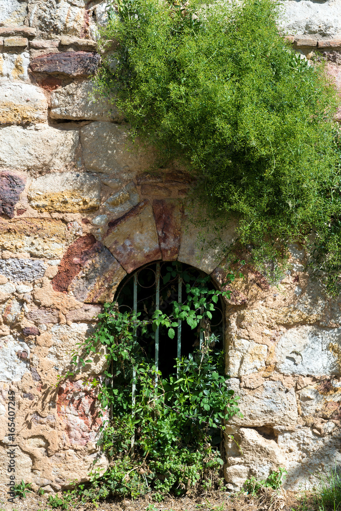 Small door almost hidden by the vegetation in the wall of a castle