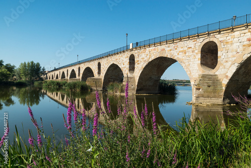 Bridge over Douro river in Zamora, Spain