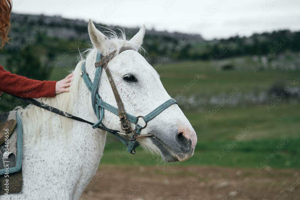 Young beautiful woman is walking with a horse in the mountains Young beautiful woman is walking with a horse in the mountains