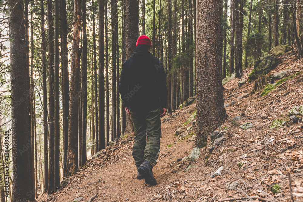 hiker walking on a mountain trail - wanderlust travel concept with sporty people at excursion in wild nature - outdoor activity italian Alps Italy hiker walking on a mountain trail - wanderlust travel concept with sporty people at excursion in wild nature - outdoor activity italian Alps Italy