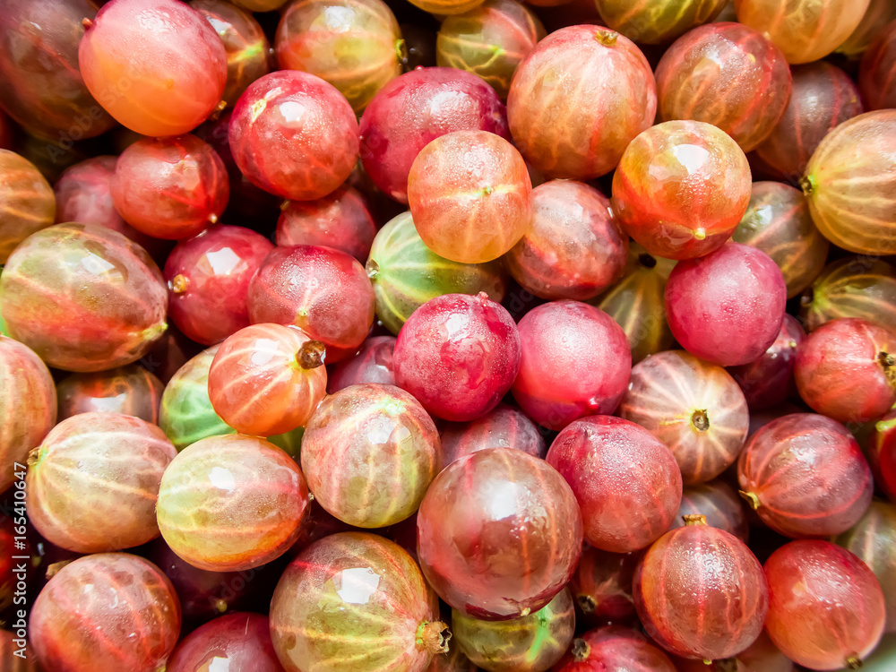 Tasty juicy gooseberry. Delicious summer berries. Tasty juicy gooseberry. Delicious summer berries.
