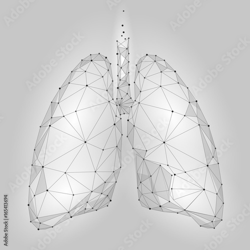 Human Internal Organ Lungs. Low Poly technology design. White Gray color polygonal triangle connected dots. Health medicine icon background vector illustration