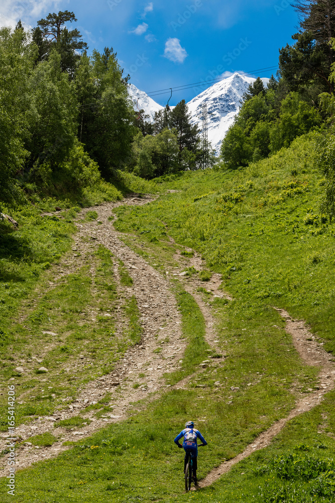 A lone biker climbs a mountain path up the mountain through an alpine meadow on a background of snowy mountains