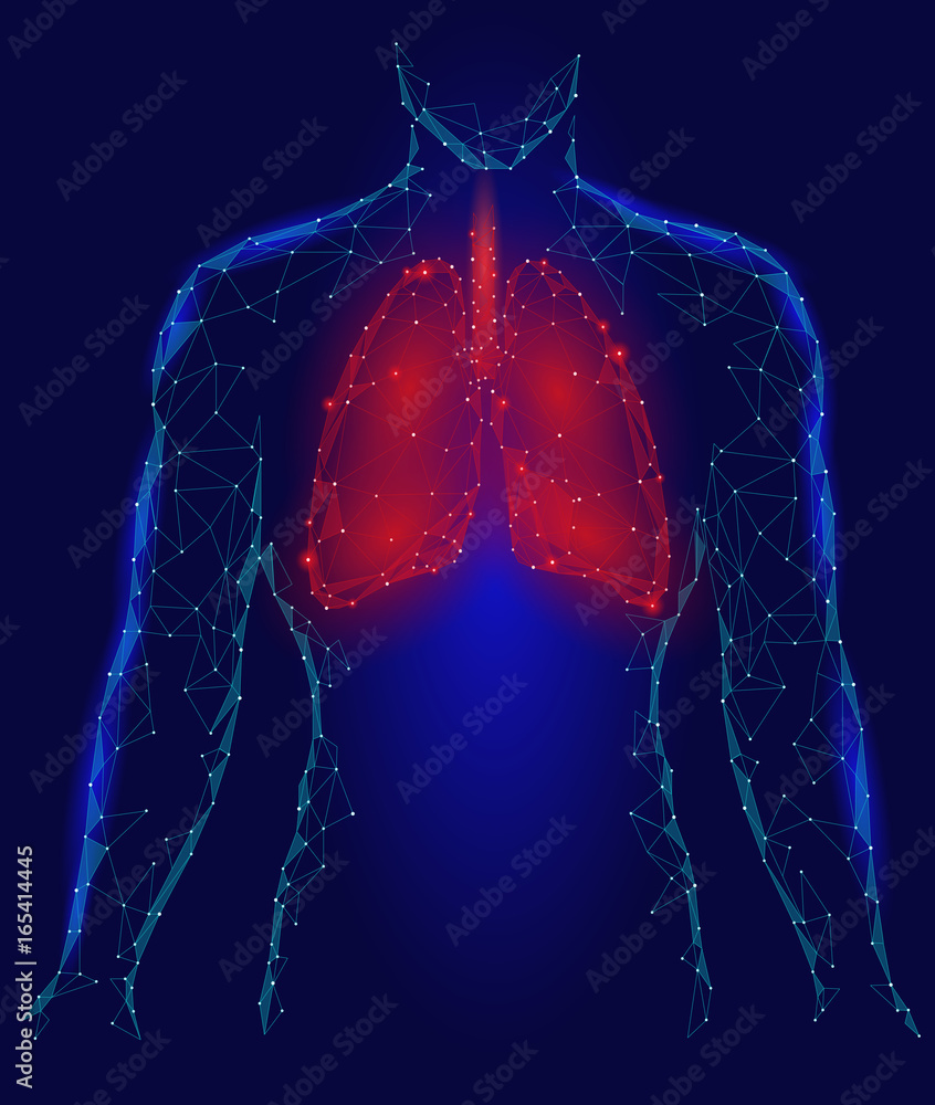Human Lungs Pulmonary infection Internal Organ. Respiratory system
