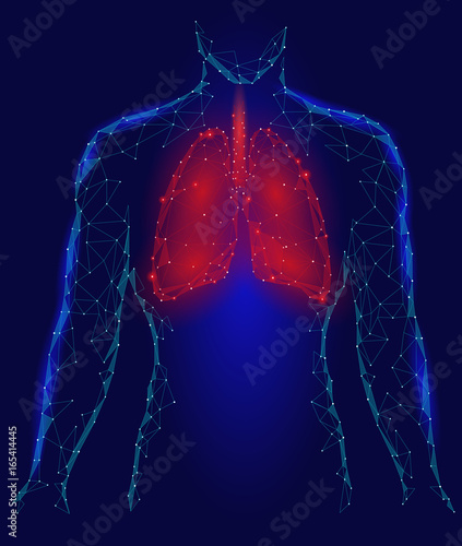 Human Lungs Pulmonary infection Internal Organ. Respiratory system Inside Body Silhouette. Low Poly 3d Connected Dots Triangle Polygonal Design. Red Blue Color Background Vector Illustration