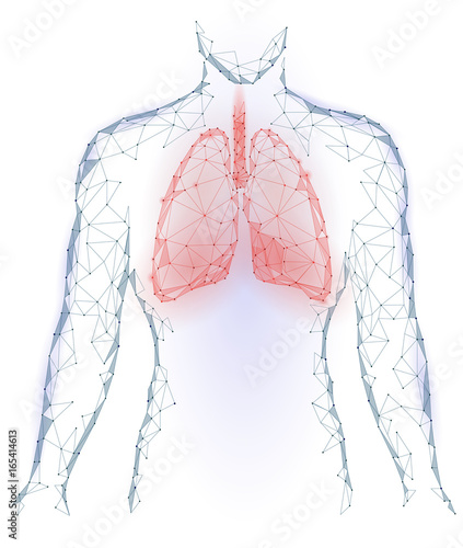 Human Lungs Pulmonary infection Internal Organ. Respiratory system Inside Body Silhouette. Low Poly 3d Connected Dots Triangle Polygonal Design. Red Blue Color Background Vector Illustration