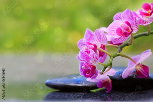 Pink orchids and black stones .Wellness background.