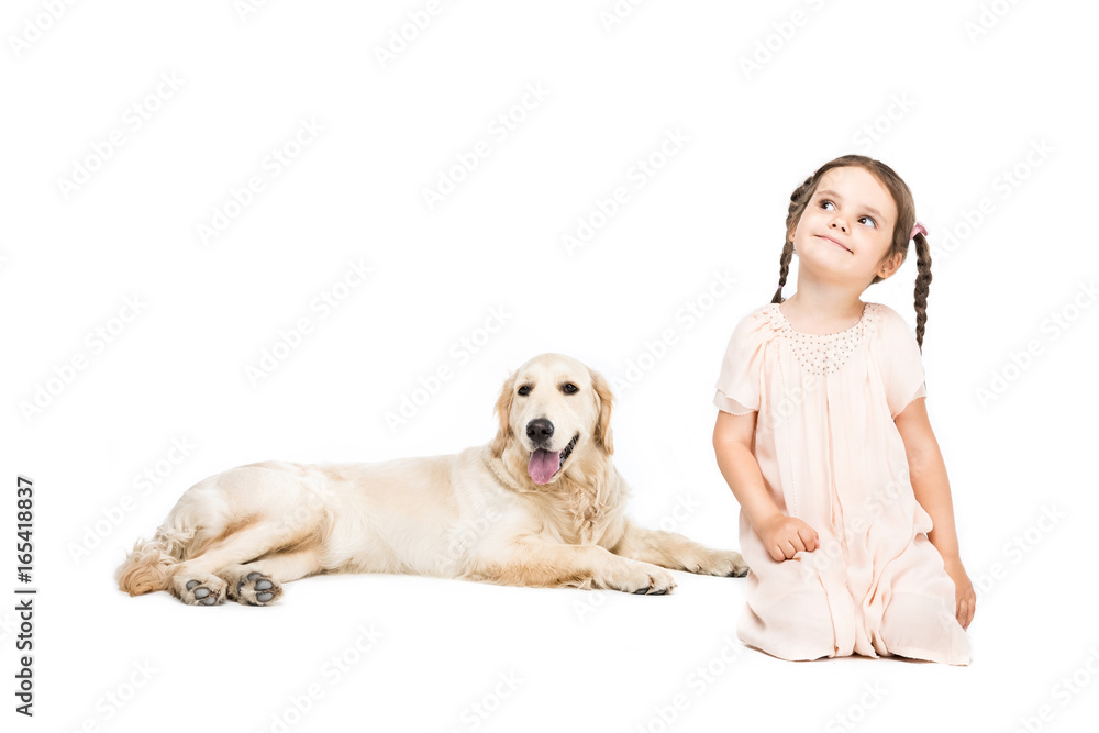 little happy adorable girl with golden retriever dog, isolated on white little happy adorable girl with golden retriever dog, isolated on white