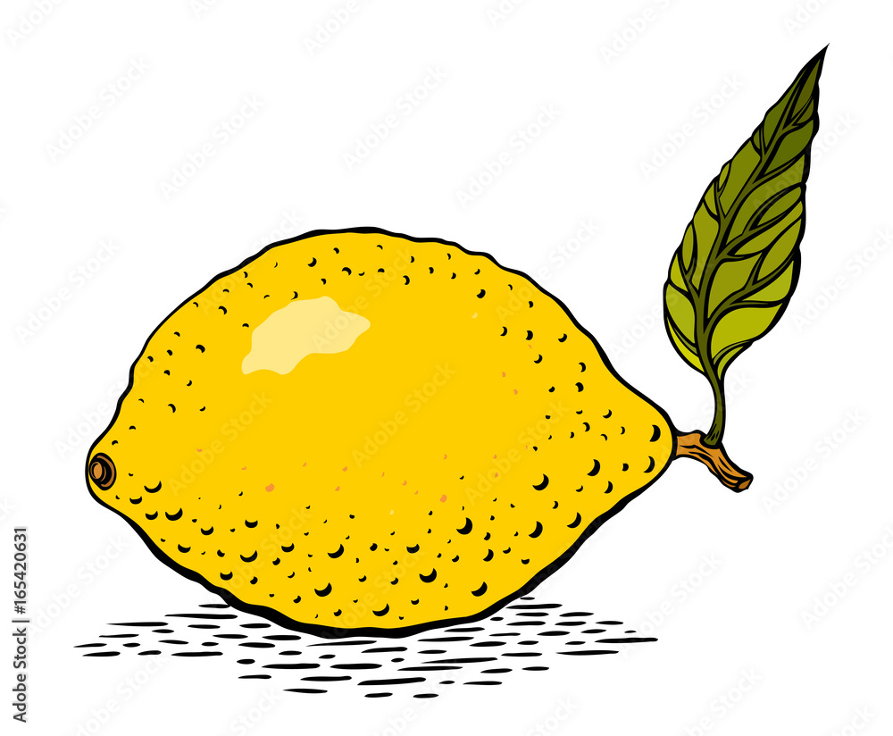 Cartoon image of lemon. An artistic freehand picture. Cartoon image of lemon. An artistic freehand picture.