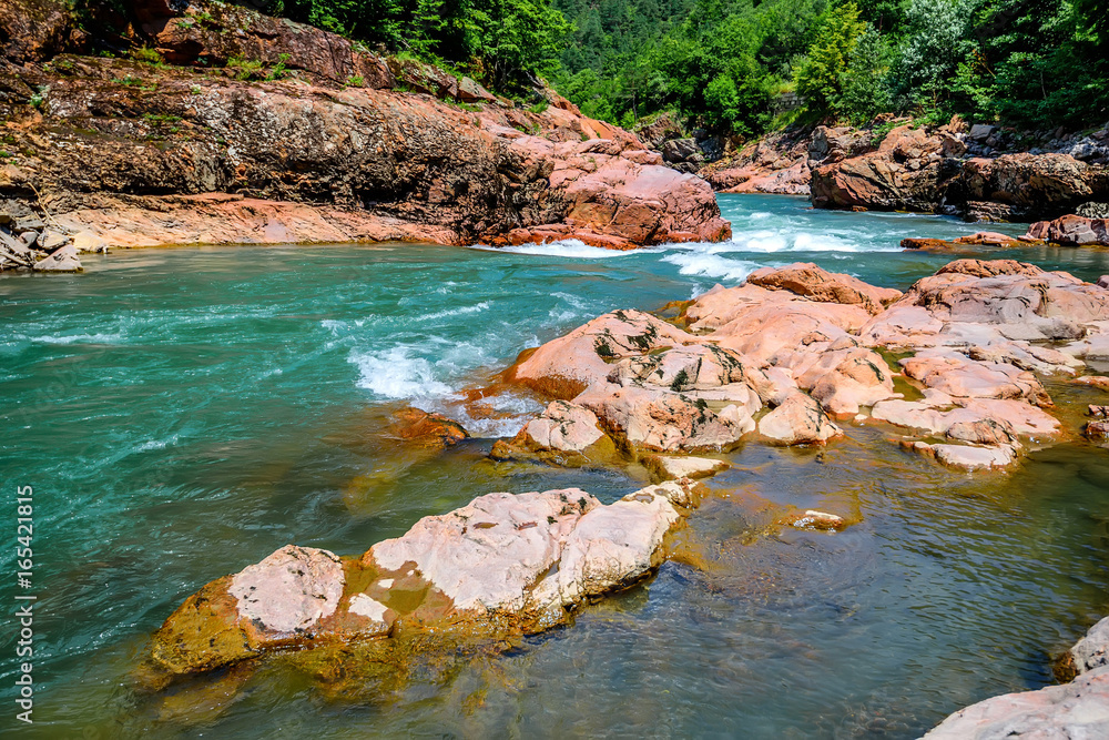 Naklejka premium Summer landscape with mountain river