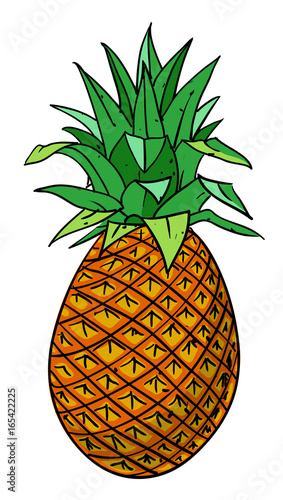 Cartoon image of pineapple. An artistic freehand picture.