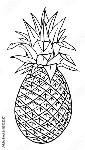 Cartoon image of pineapple. An artistic freehand picture.
