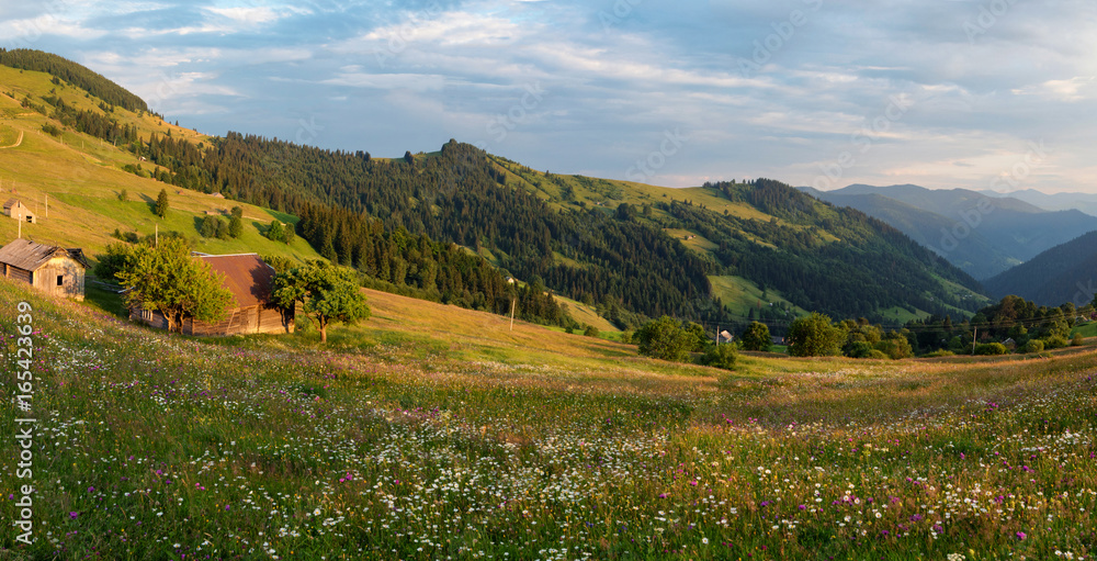 Sunset on the field in the Carpathians