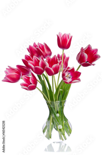 Bouquet of beautiful pink tulips in transparent vase isolated on white background