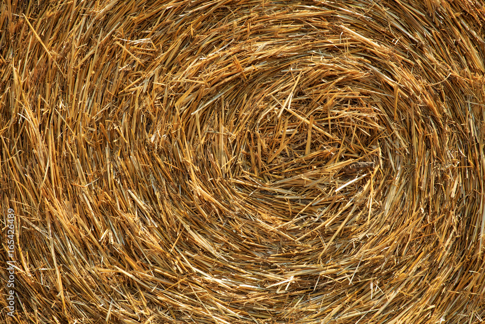 Close up of a large, round wheat hay bale. Agricultural background texture Close up of a large, round wheat hay bale. Agricultural background texture