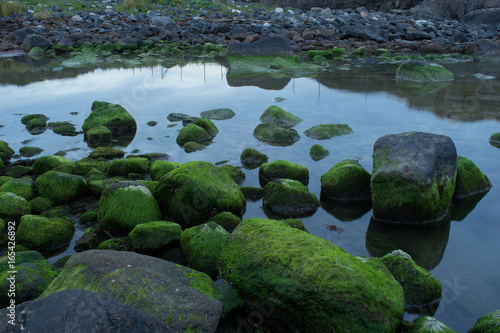 Green rocks in the ocean at low tide