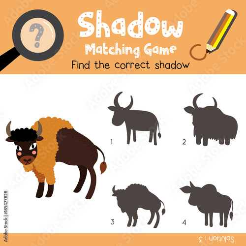 Shadow matching game of Bison animals for preschool kids activity worksheet colorful version. Vector Illustration.