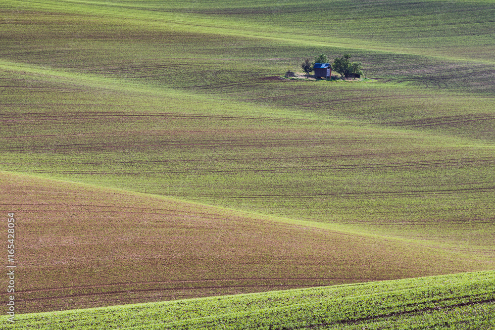 South Moravian fields, Czech Republic fields, moravia hills, czech landscape, moravian landscape