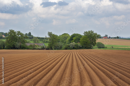 Принти на полотні Freshly sowed field on a hillside