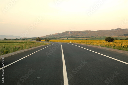 Empty road surrounded with fields  travel, nature and infrastructure concept. © Lidija