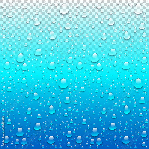 Realistic vector water drops transparent blue background. Clean drop condensation illustration