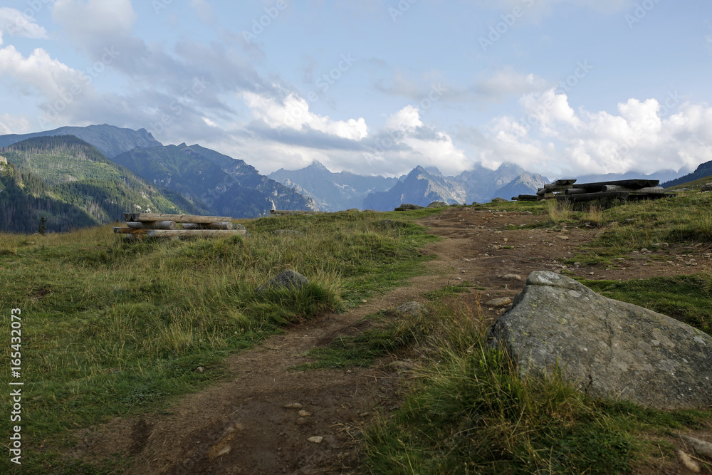 Fototapeta premium beautiful mountain glade