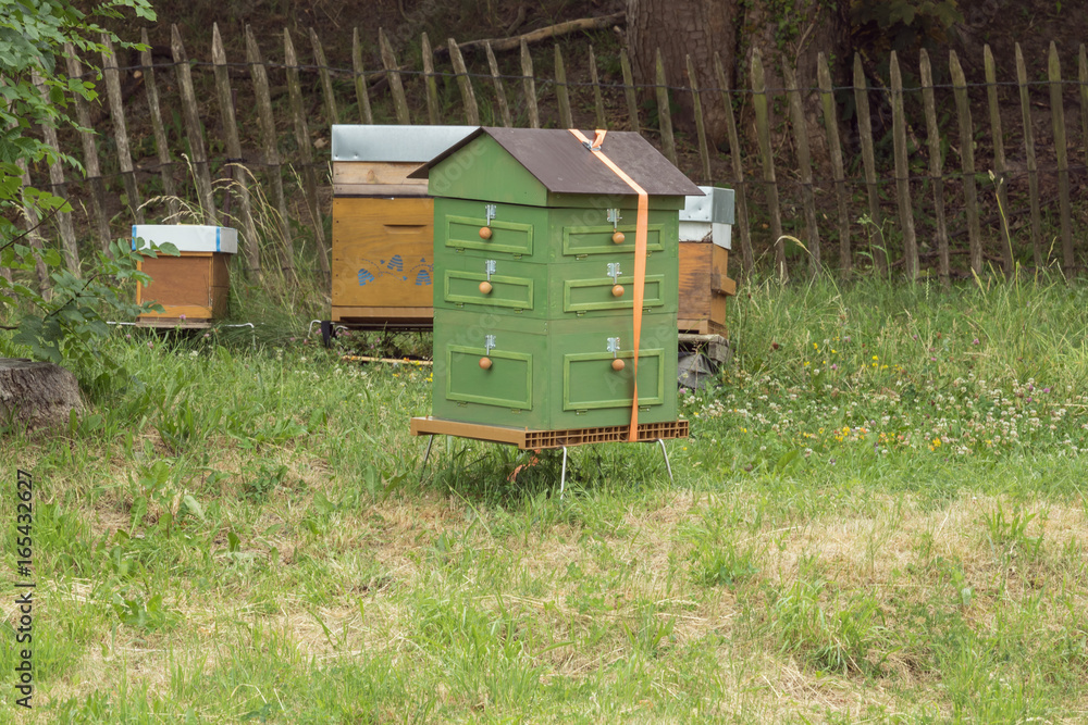 Four beehives put together at the Citadel of Namur Four beehives put together at the Citadel of Namur