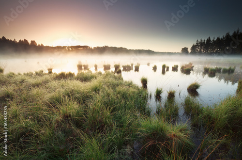 Murais de parede tranquil misty sunrise on wild lake