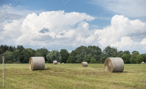 Hay Bales in a Hudson Valley Field