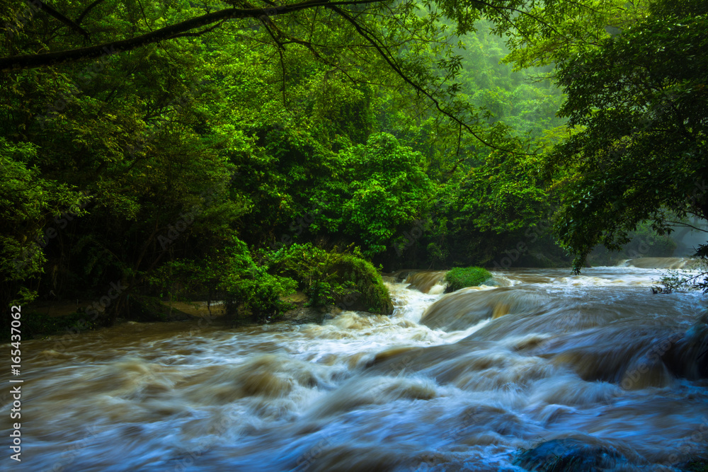 Green River Green River