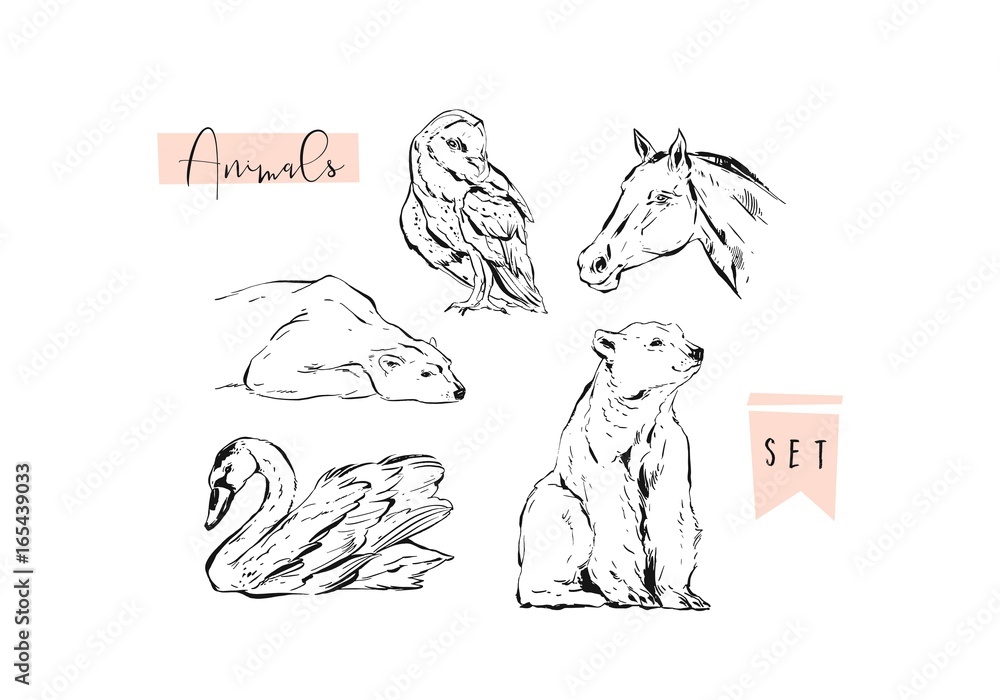 Fototapeta premium Hand drawn vector abstract graphic animals set collection of swan,polar bear,horse and owl ink brush painted isolated on white background.