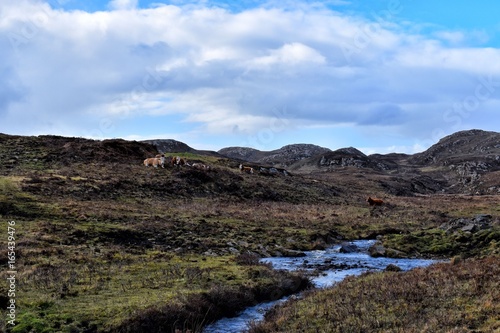 Highlands landscape in Scotland